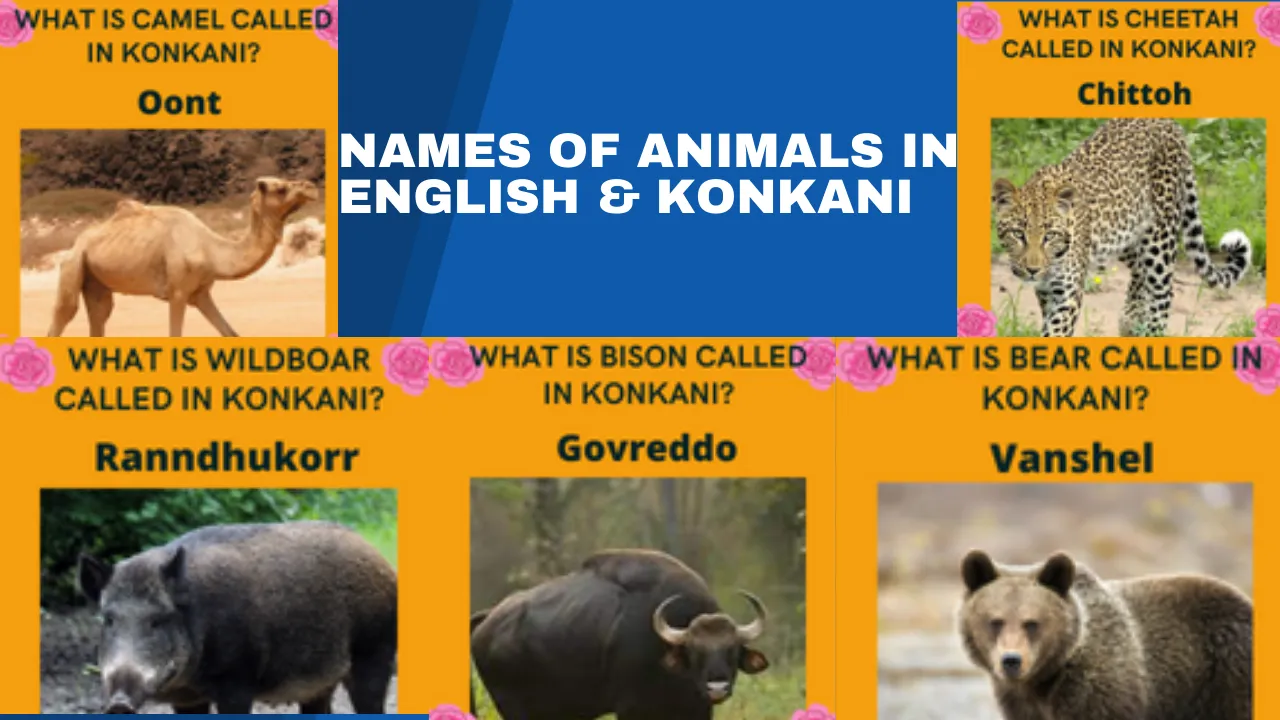 Names of Animals in English & Konkani KONKANI LEARN