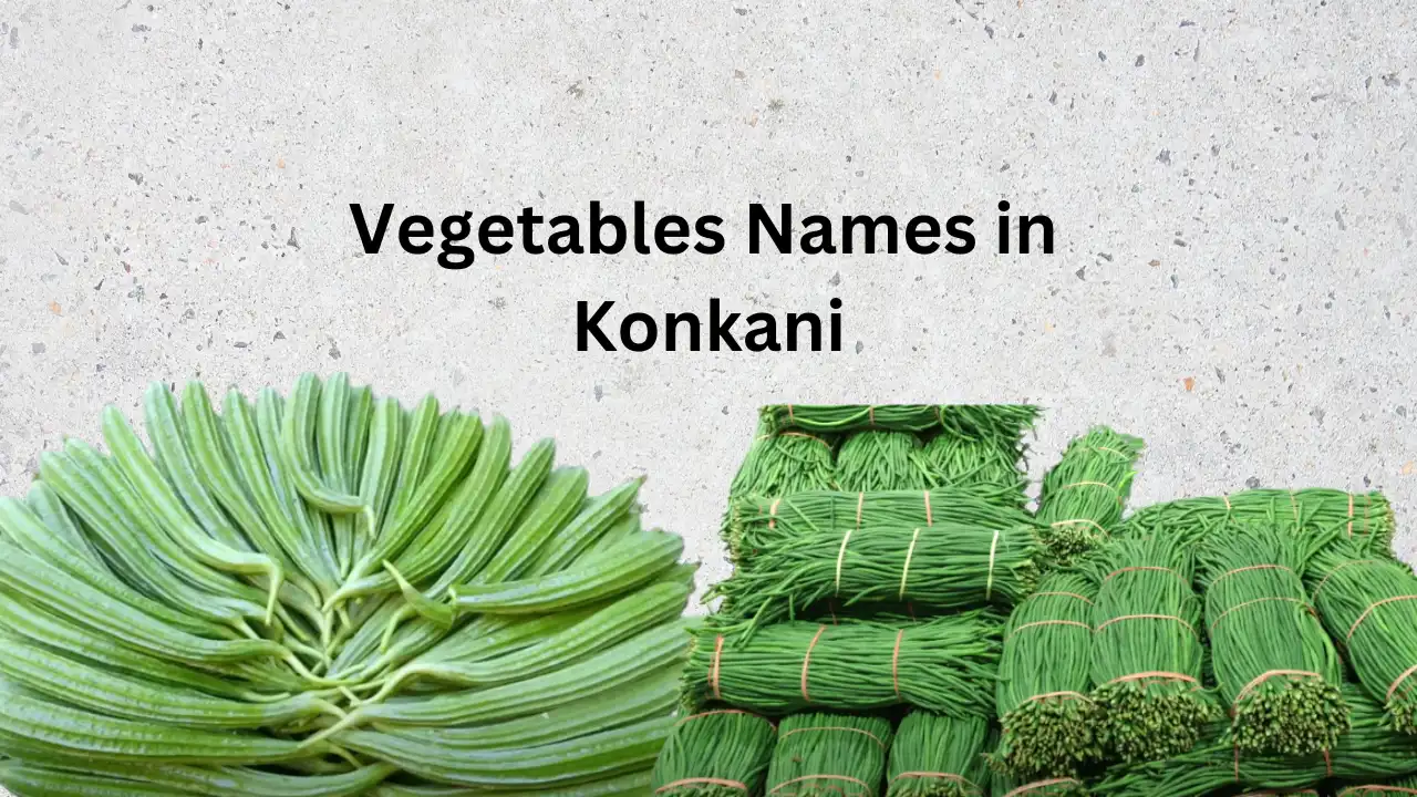 vegetables-names-in-konkani-vegetables-in-english-and-konkani